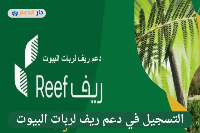 دعم ريف لربات البيوت