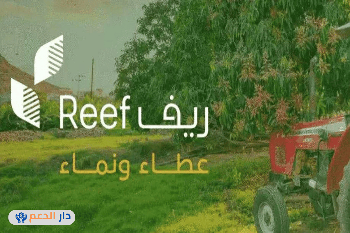 دعم ريف للأسر المنتجة