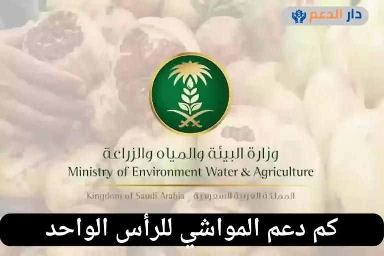 كم دعم المواشي