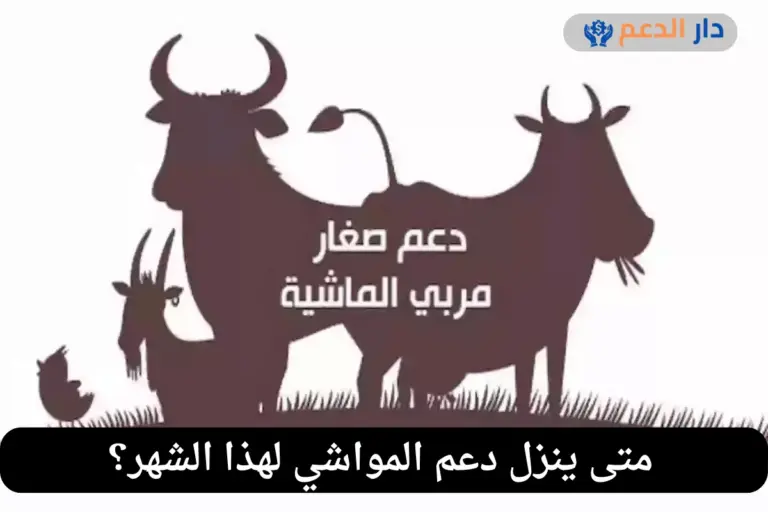 متى ينزل دعم المواشي